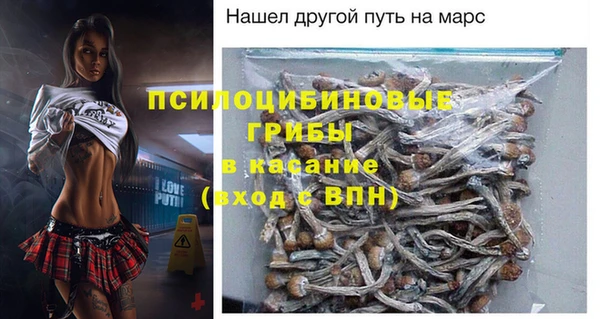 метамфетамин Белокуриха