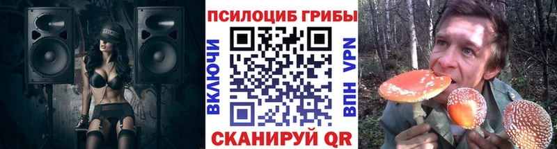 Галлюциногенные грибы Psilocybine cubensis  Бобров 
